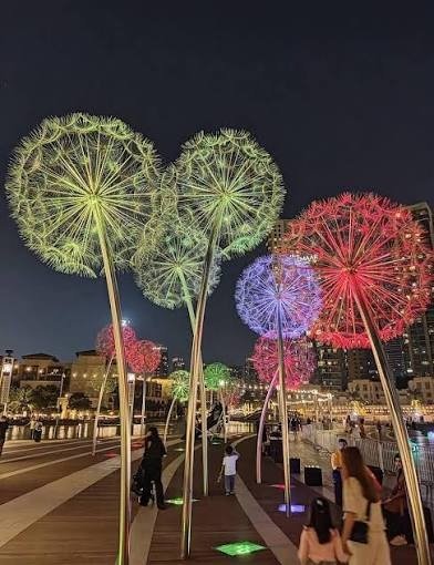 Dandelion Lights